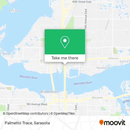Palmetto Trace map