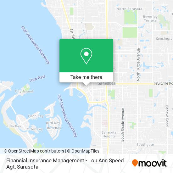 Financial Insurance Management - Lou Ann Speed Agt map