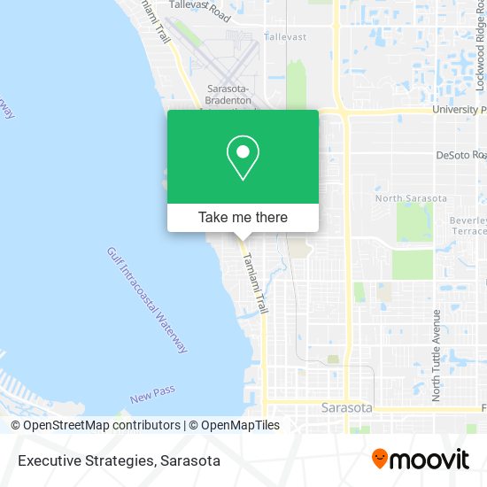 Mapa de Executive Strategies