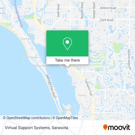 Virtual Support Systems map