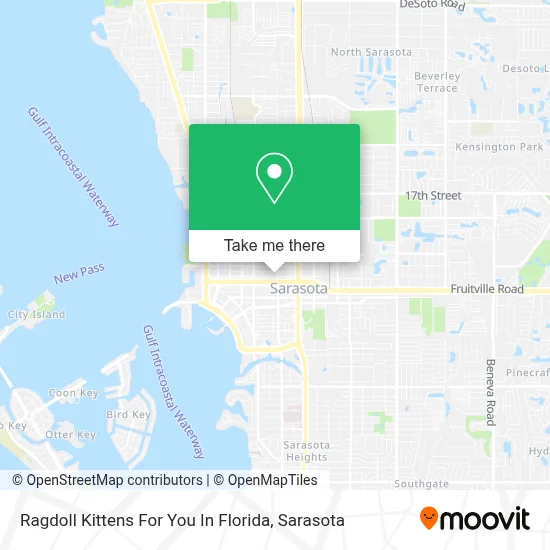 Ragdoll Kittens For You In Florida map