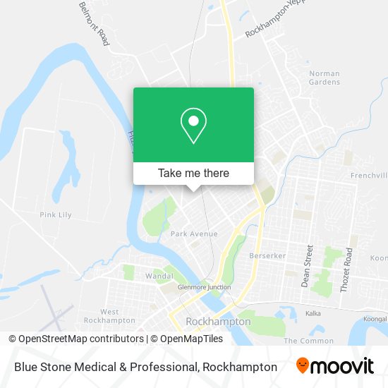 Blue Stone Medical & Professional map