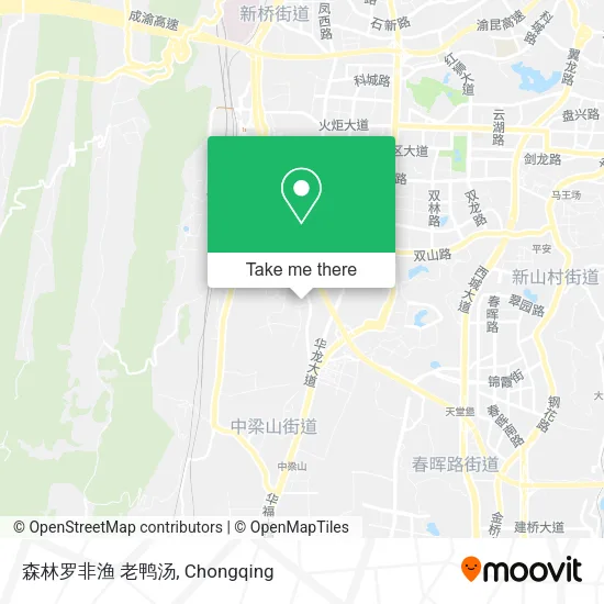 森林罗非渔  老鸭汤 map
