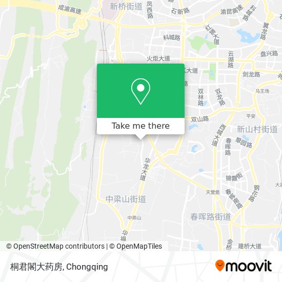 桐君閣大药房 map