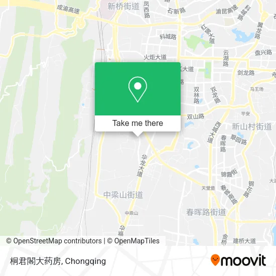 桐君閣大药房 map