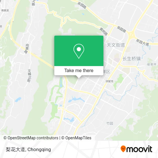梨花大道 map