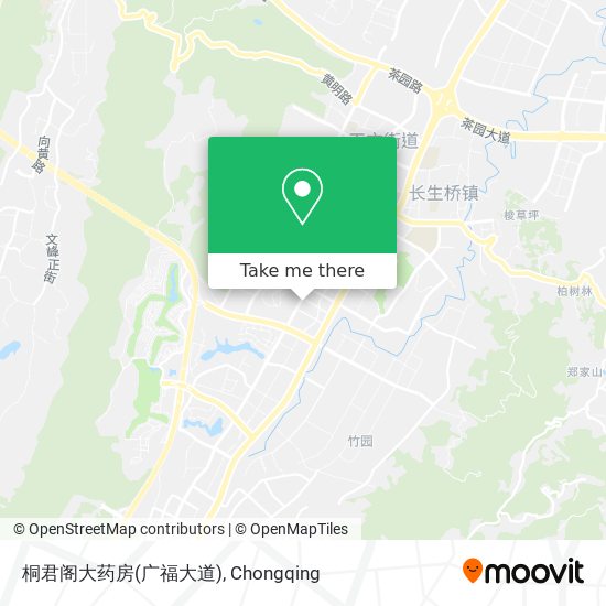 桐君阁大药房(广福大道) map