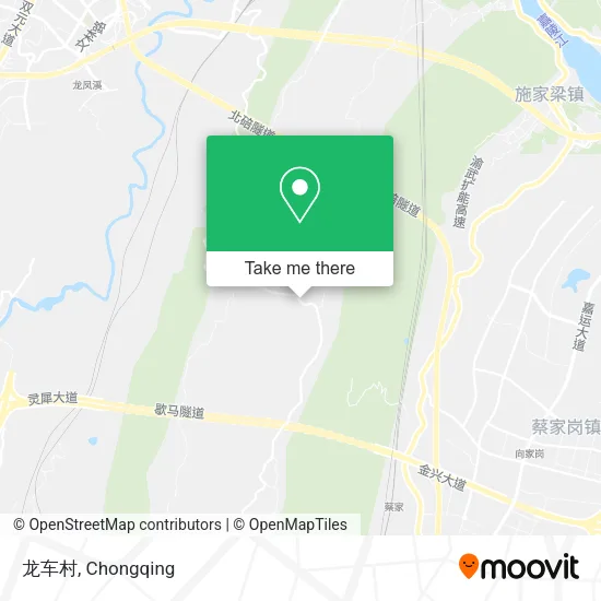 龙车村 map