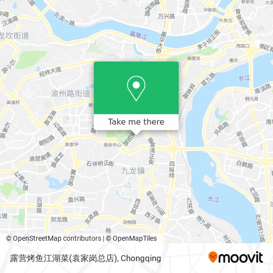 露营烤鱼江湖菜(袁家岗总店) map