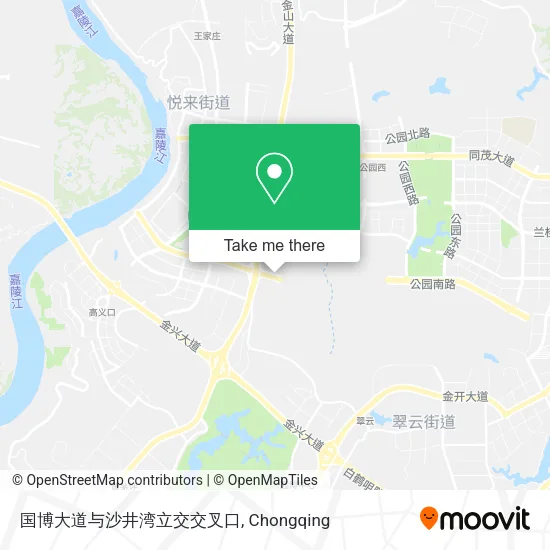 国博大道与沙井湾立交交叉口 map