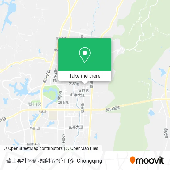 璧山县社区药物维持治疗门诊 map