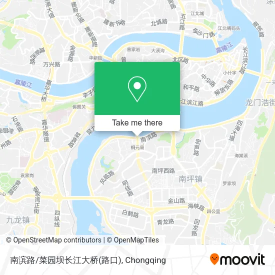 南滨路/菜园坝长江大桥(路口) map
