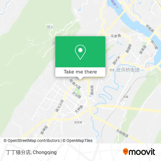丁丁猫分店 map