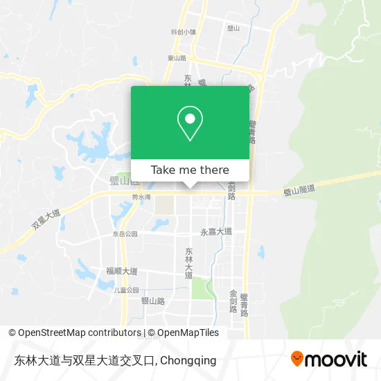 东林大道与双星大道交叉口 map