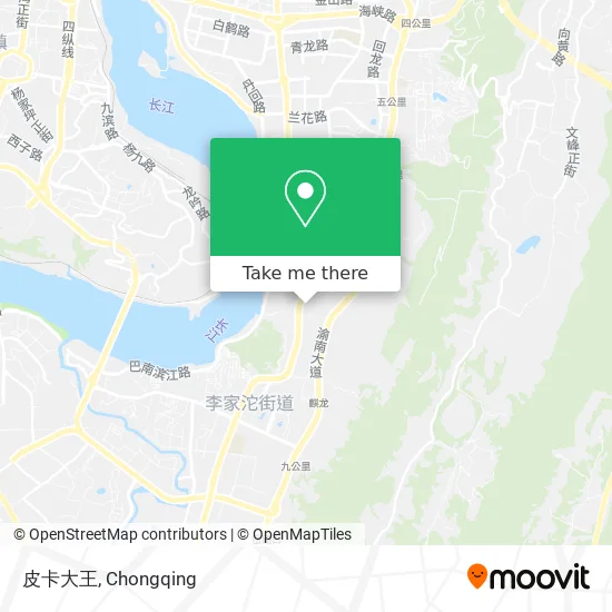 皮卡大王 map