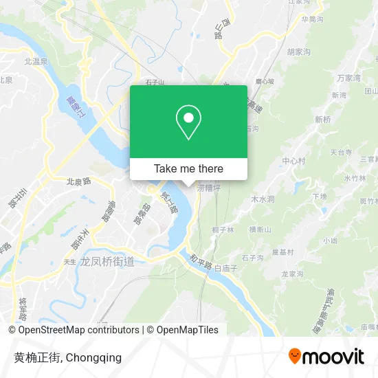 黄桷正街 map