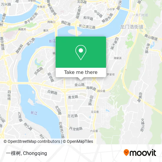 一棵树 map
