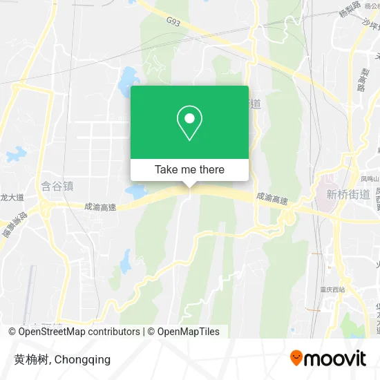黄桷树 map