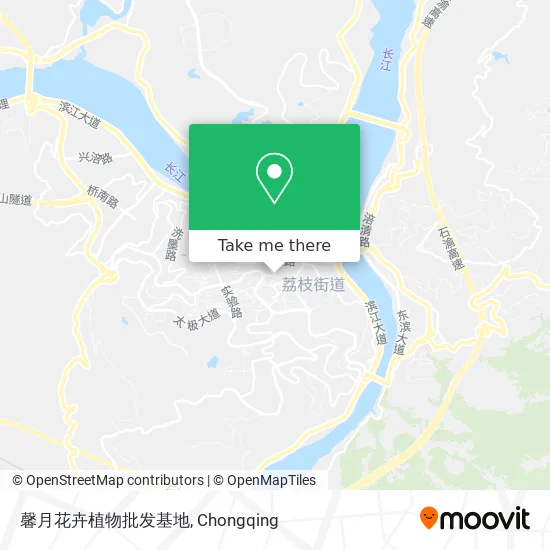 馨月花卉植物批发基地 map