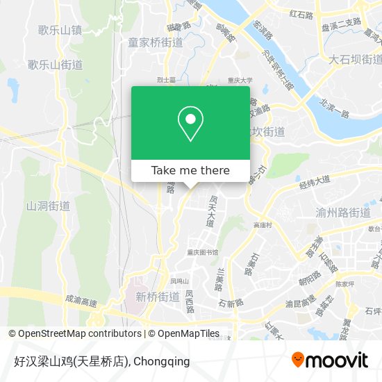 好汉梁山鸡(天星桥店) map