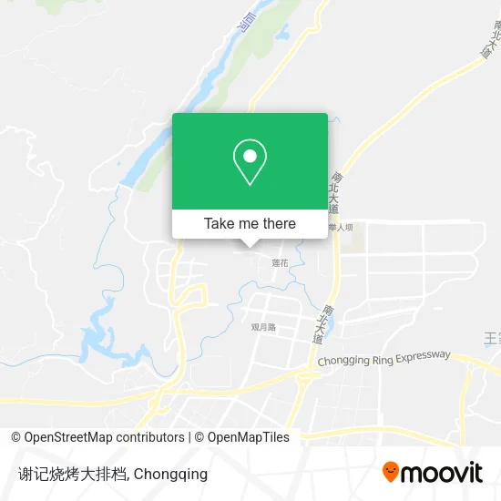 谢记烧烤大排档 map