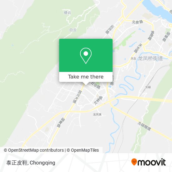泰正皮鞋 map