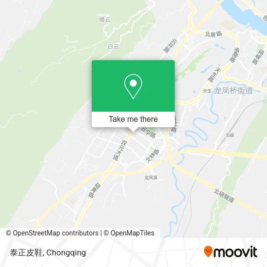 泰正皮鞋 map