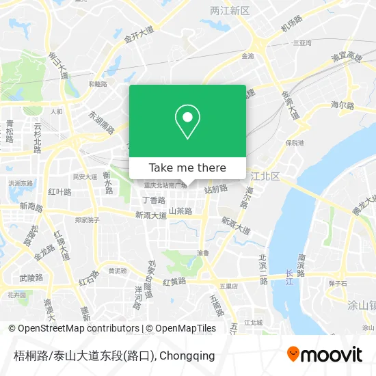 梧桐路/泰山大道东段(路口) map