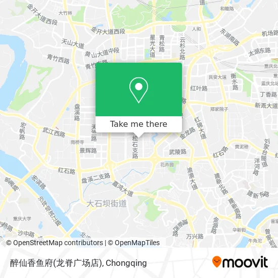 醉仙香鱼府(龙脊广场店) map