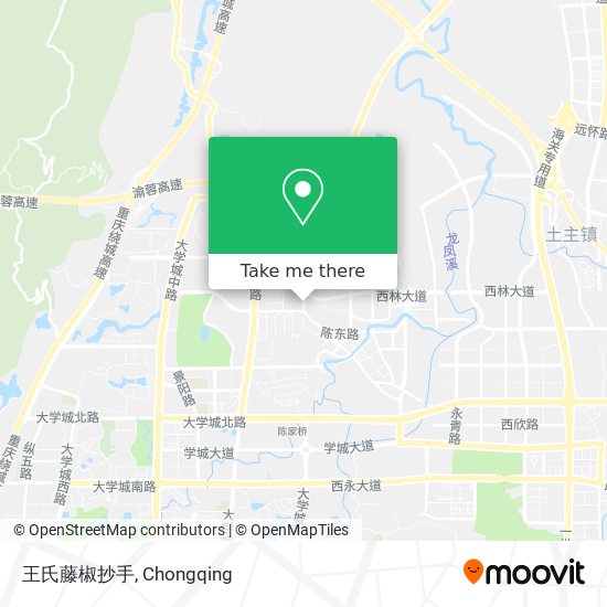 王氏藤椒抄手 map