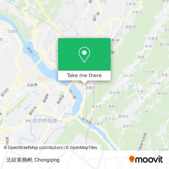 北碚黄桷树 map