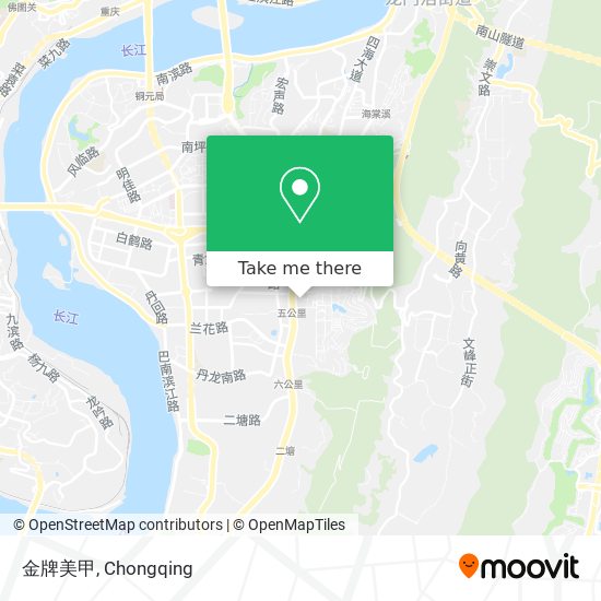 金牌美甲 map