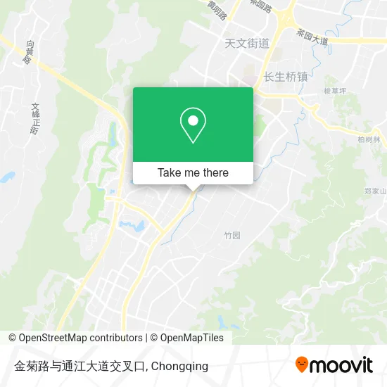金菊路与通江大道交叉口 map