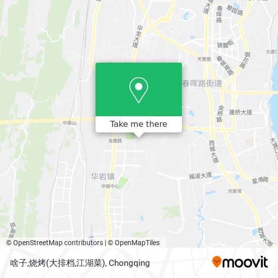 啥子,烧烤(大排档,江湖菜) map