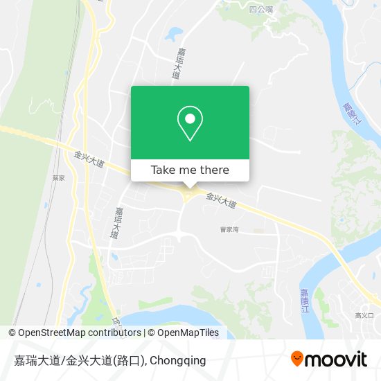 嘉瑞大道/金兴大道(路口) map