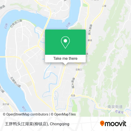 王胖鸭头江湖菜(柳镇店) map