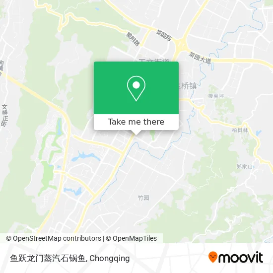 鱼跃龙门蒸汽石锅鱼 map