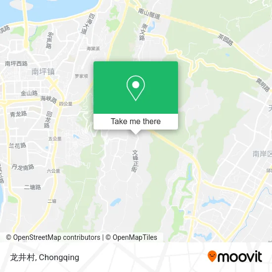龙井村 map