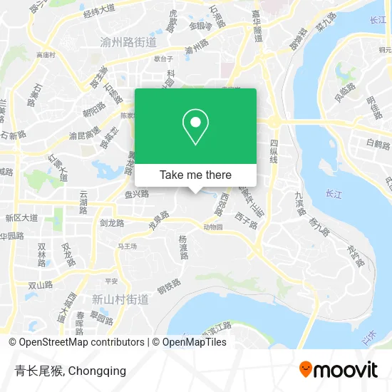 青长尾猴 map