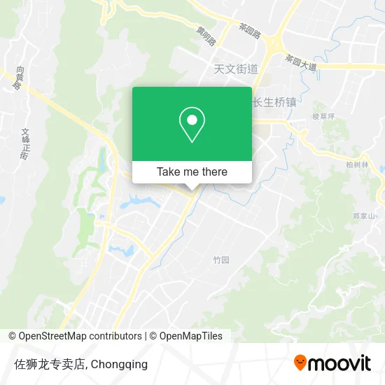 佐狮龙专卖店 map