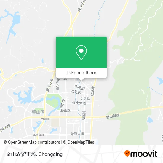 金山农贸市场 map