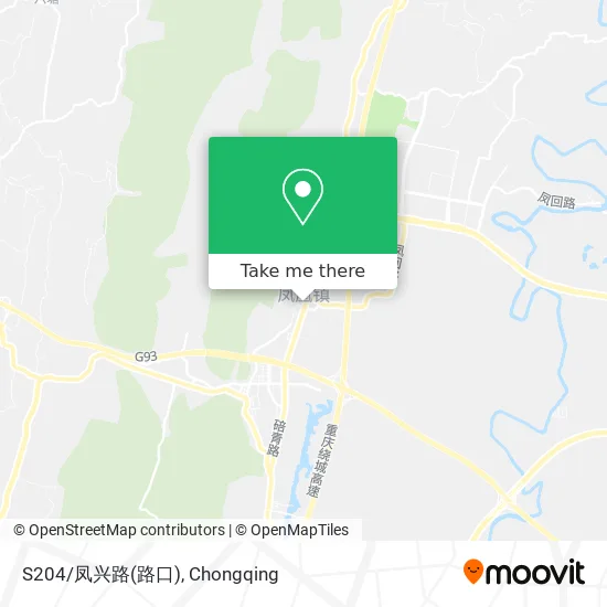 S204/凤兴路(路口) map