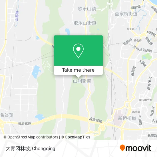 大青冈林坡 map