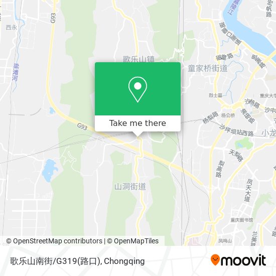 歌乐山南街/G319(路口) map