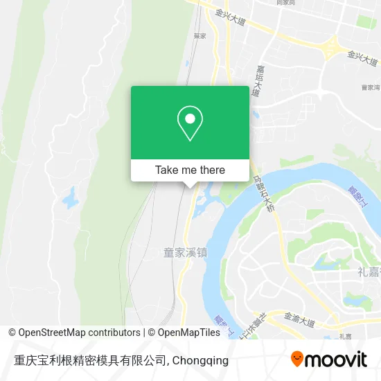 重庆宝利根精密模具有限公司 map
