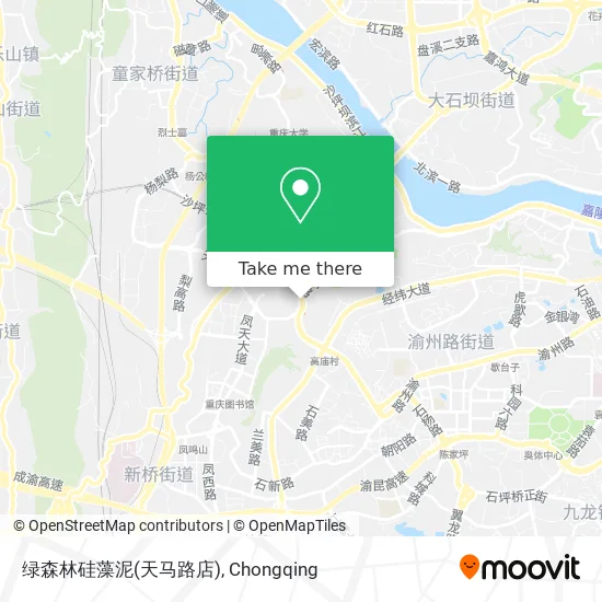 绿森林硅藻泥(天马路店) map