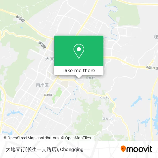 大地琴行(长生一支路店) map