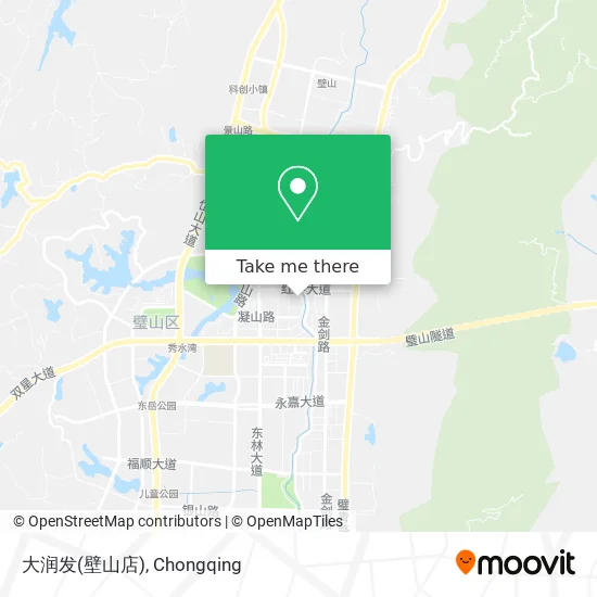 大润发(壁山店) map
