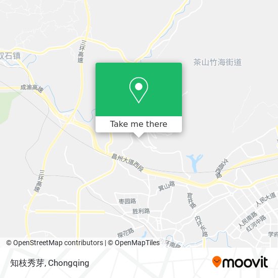 知枝秀芽 map