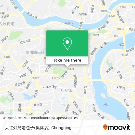 大红灯笼老包子(奥体店) map
